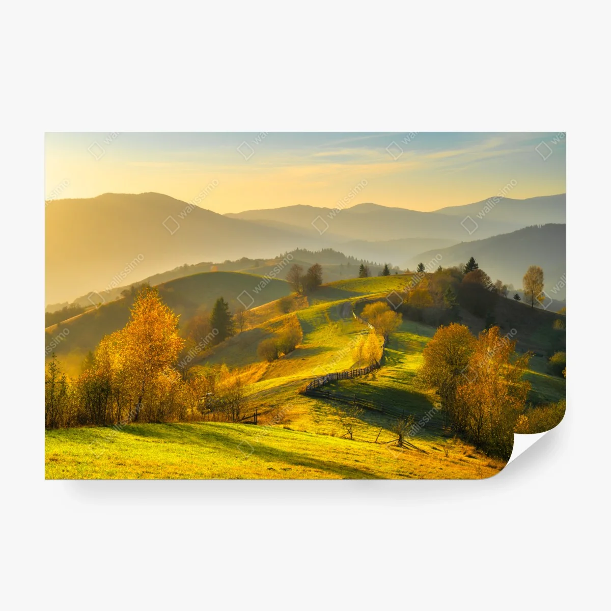 Fototapete goldene herbsthügel bei sonnenuntergang – Wallnifity® Fototapete goldene herbsthügel bei sonnenuntergang – Wallnifity®