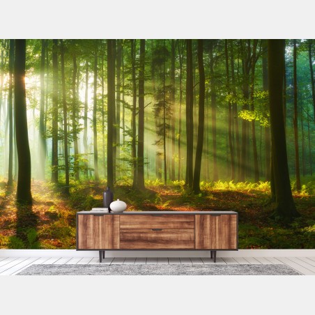 Fototapete morgendliches licht im grünen wald – Wallnifity®