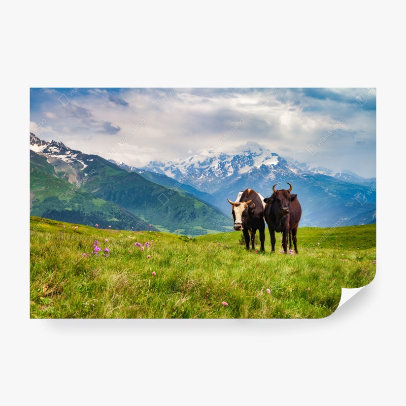 Natur – Wallnifity®