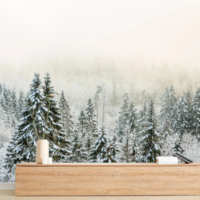 Skandinavisch – Wallnifity®