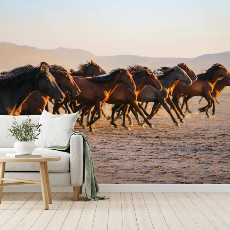 Pferde – Wallnifity®