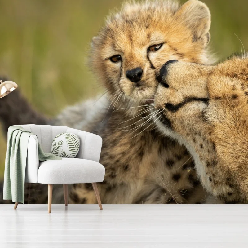 Tiere – Wallnifity®