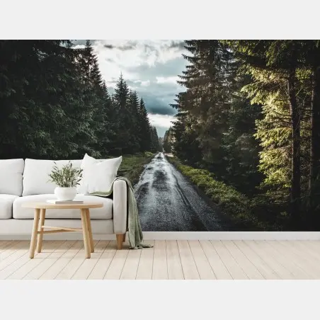 Fototapete waldweg durch neblige kiefern – Wallnifity®