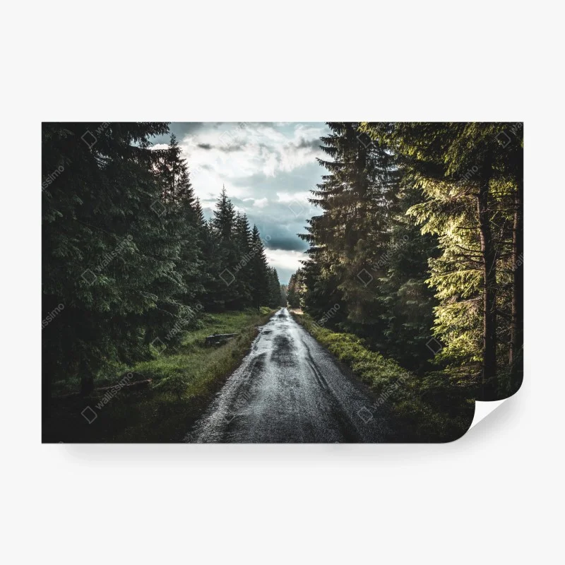 Fototapete – Wallnifity®
