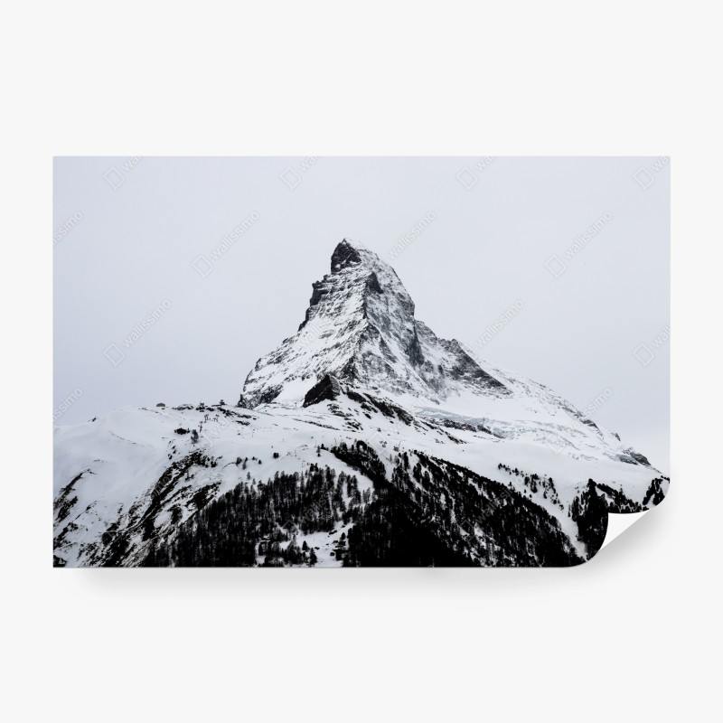 Fototapeten – Wallnifity®