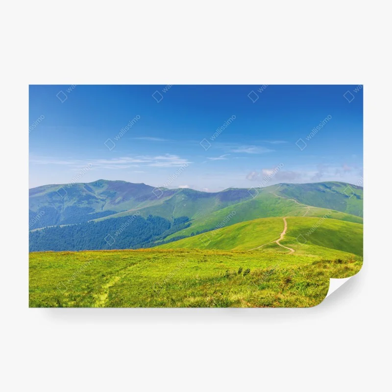 Fototapeten – Wallnifity®