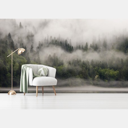 Fototapete nebliger küstenwald, British Columbia – Wallnifity®