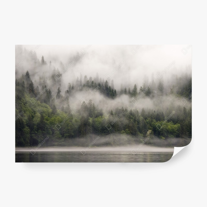 Natur – Wallnifity®