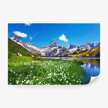 Fototapete alpensee mit blumenwiese und berggipfeln – Wallnifity®