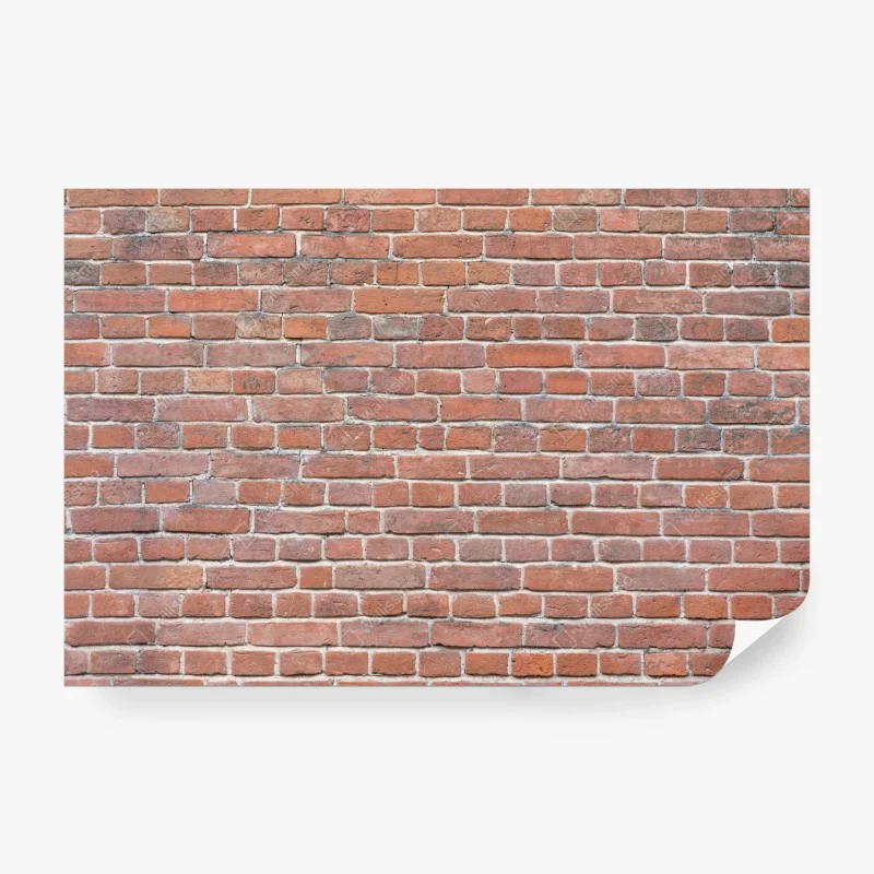 Ziegel – Wallnifity®