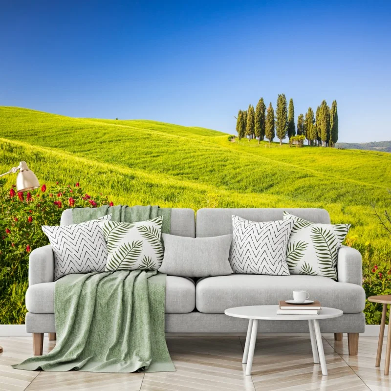 Wiesen – Wallnifity®