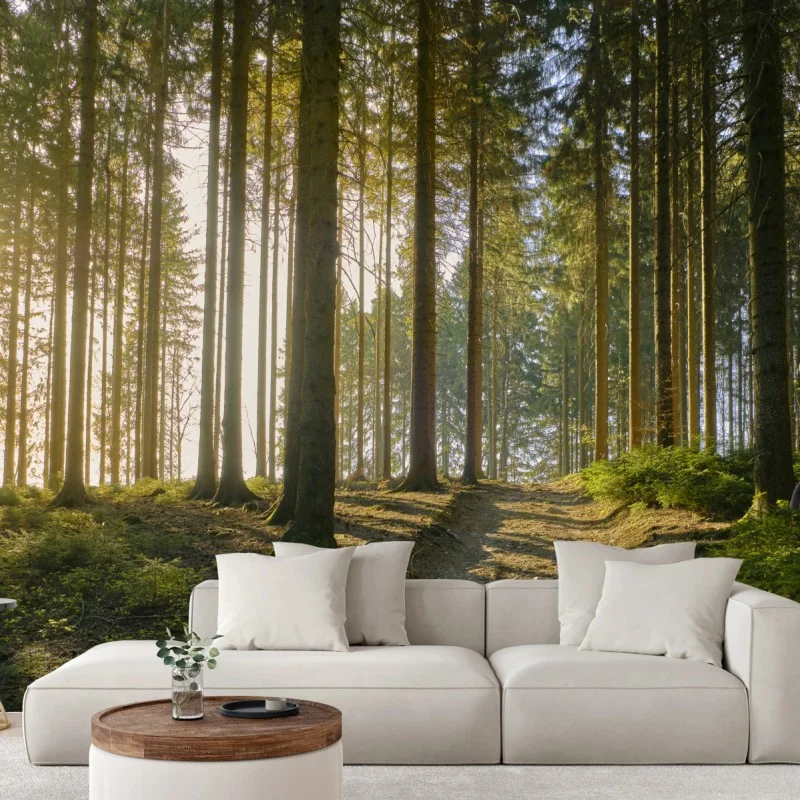 Fototapete sonniger waldweg im morgenlicht – Wallnifity®