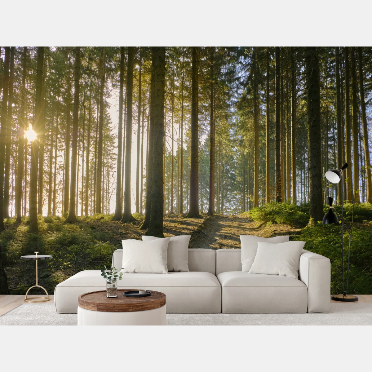 Fototapete sonniger waldweg im morgenlicht – Wallnifity®