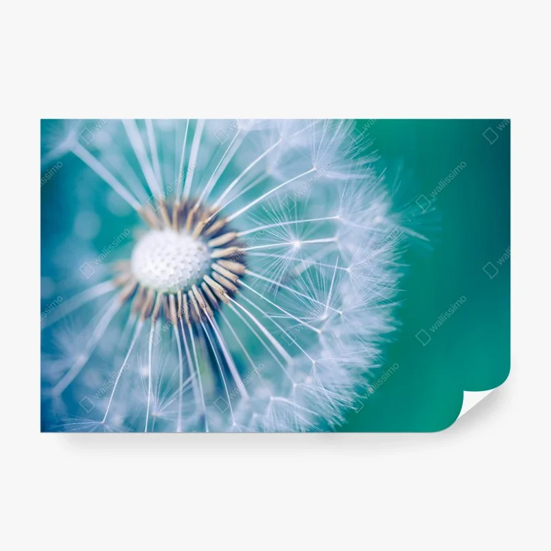 Schlafzimmer – Wallnifity®