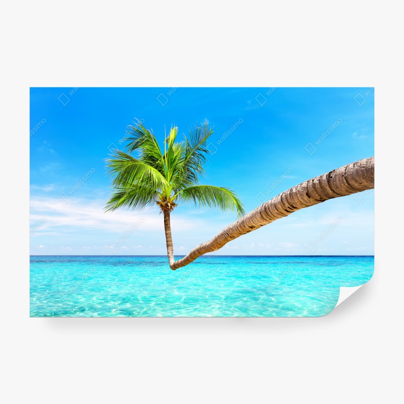 Natur – Wallnifity®