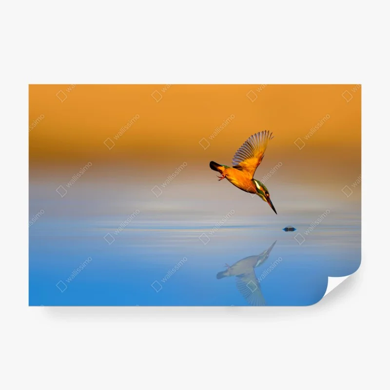 Flüsse & Seen – Wallnifity®