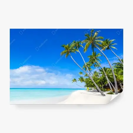 Fototapete tropischer palmenstrand – Wallnifity®
