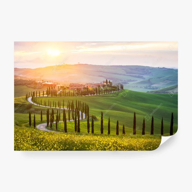 Wiesen – Wallnifity®