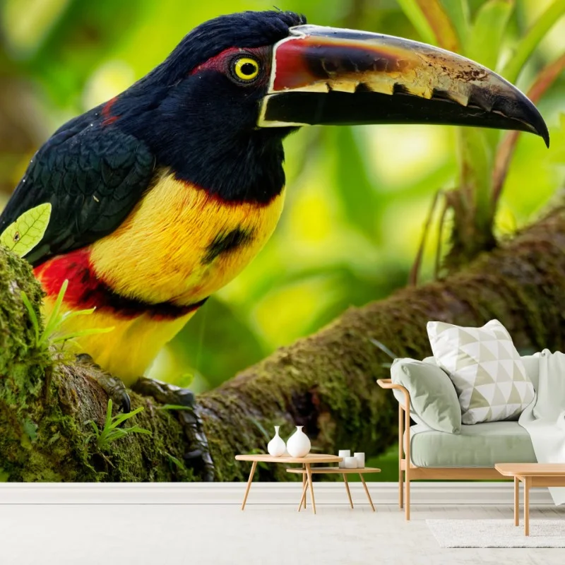 Vögel – Wallnifity®