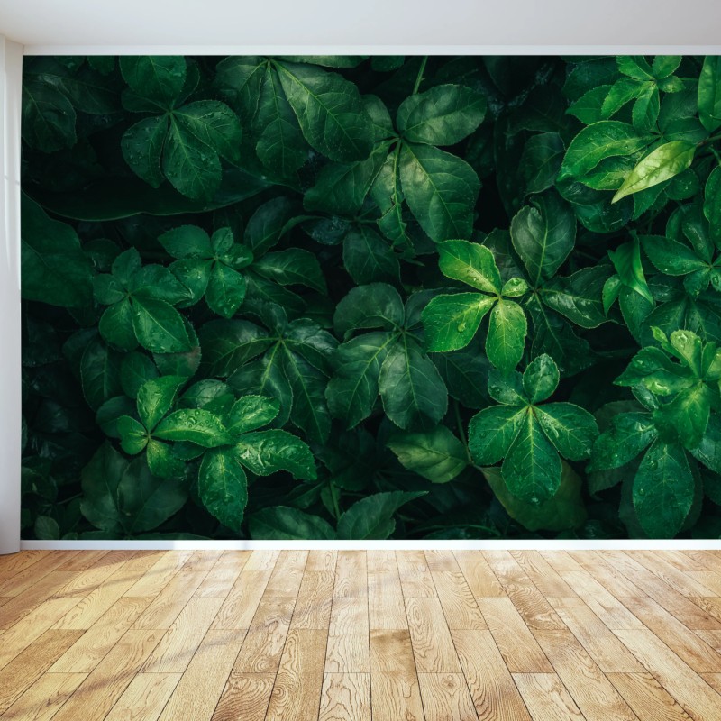 Fototapeten – Wallnifity®