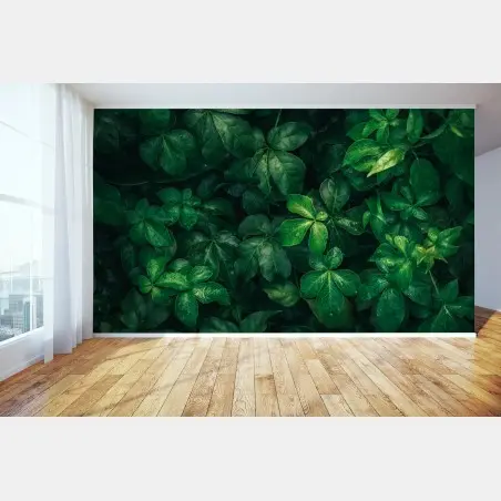 Fototapete üppiges tropisches grünes laub – Wallnifity®