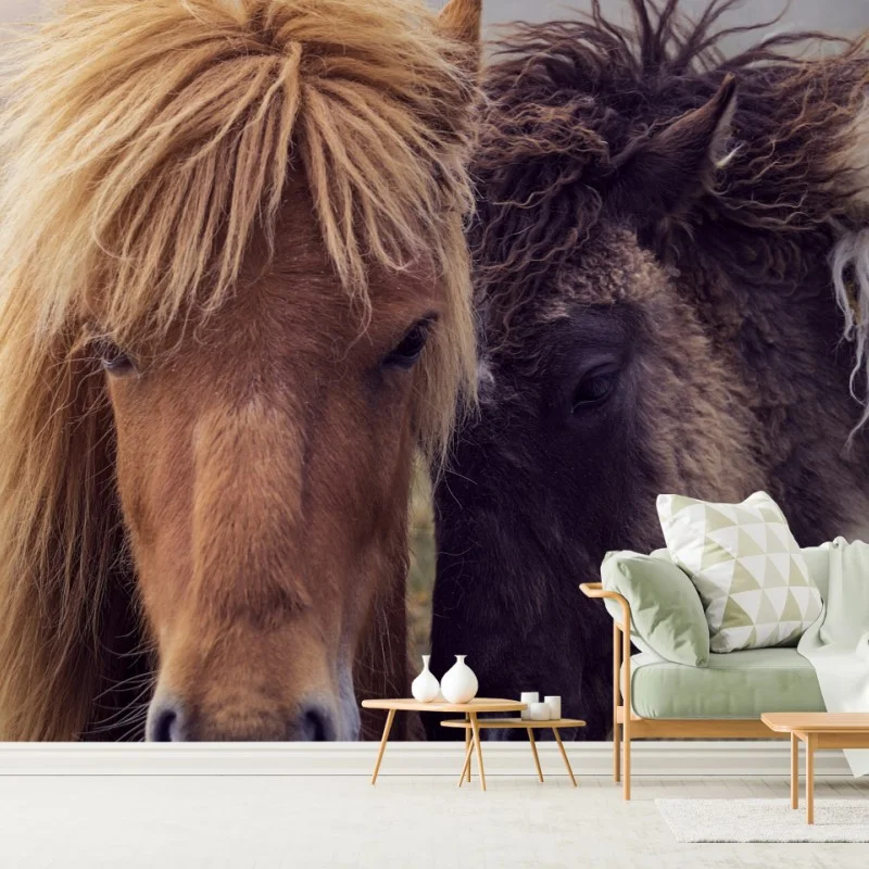 Pferde – Wallnifity®