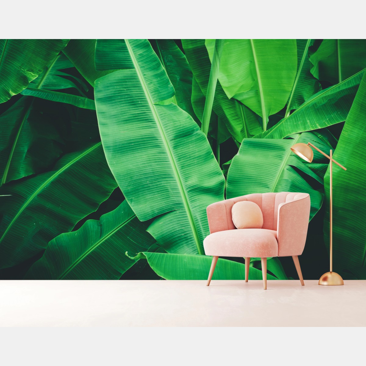 Fototapete tropische bananenblätter – Wallnifity®