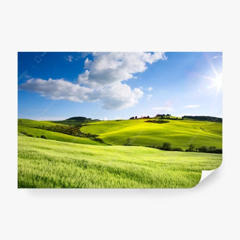 Fototapeten – Wallnifity®