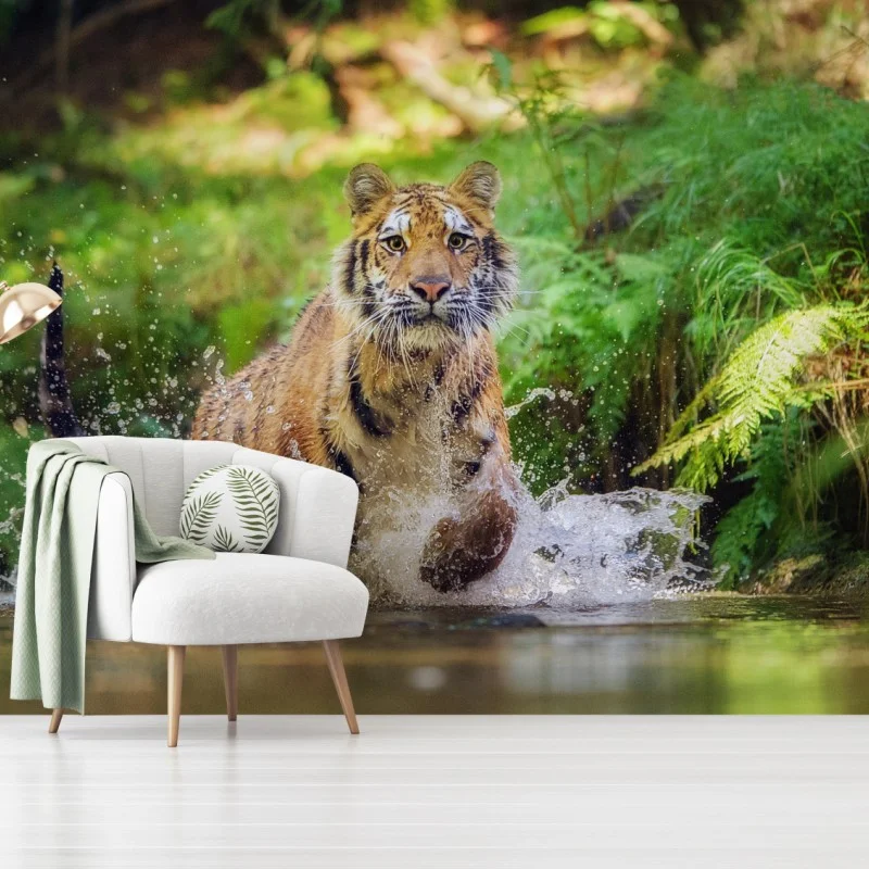 Fototapete majestätischer tiger im waldbach – Wallnifity®