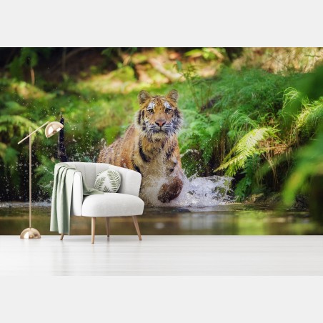 Fototapete majestätischer tiger im waldbach – Wallnifity®