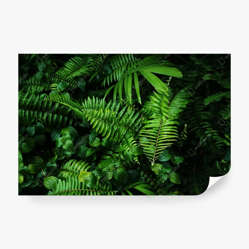 Blätter – Wallnifity®