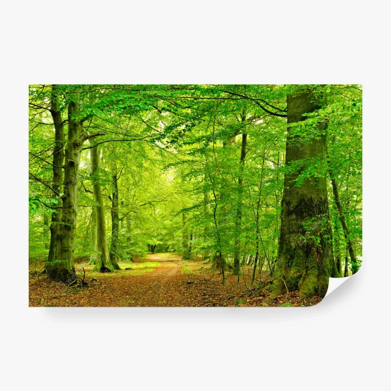 Natur – Wallnifity®