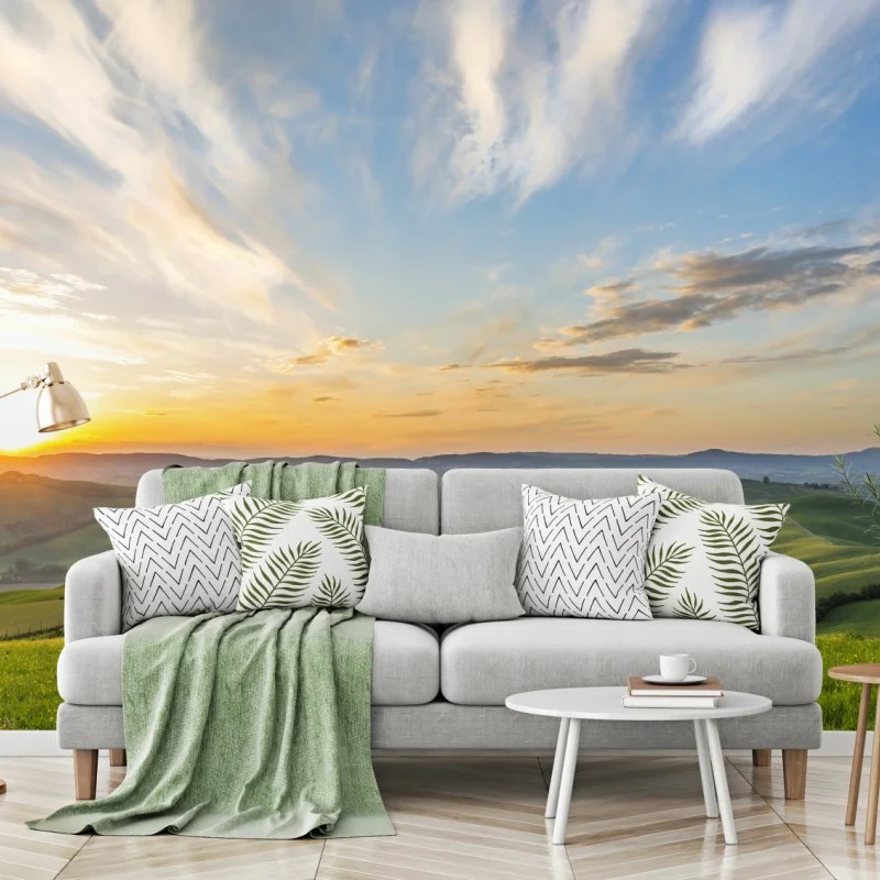 Wiesen – Wallnifity®