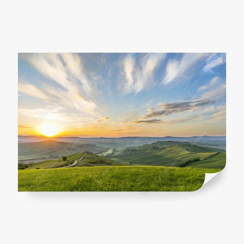 Wiesen – Wallnifity®