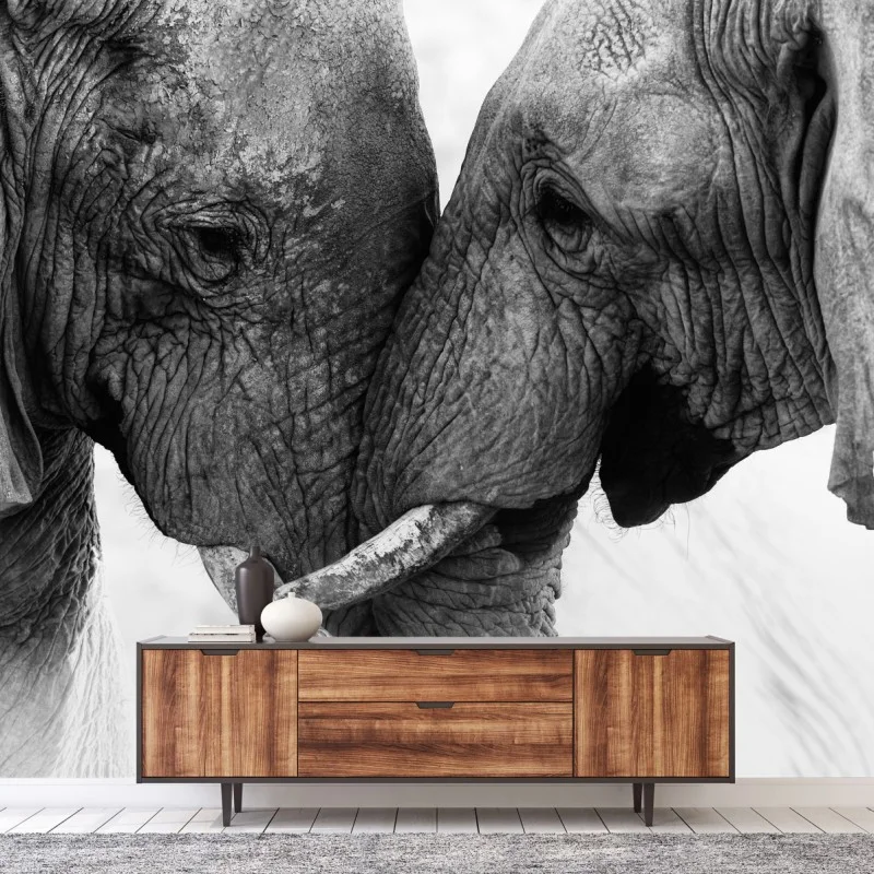 Tiere – Wallnifity®