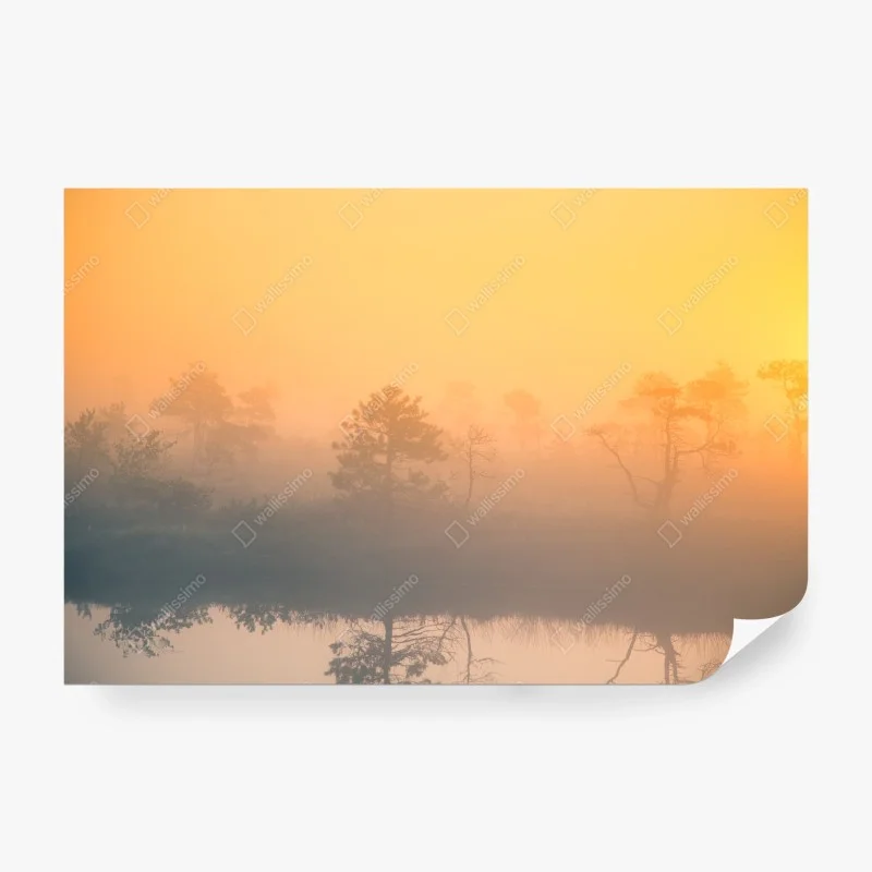 Panoramen – Wallnifity®