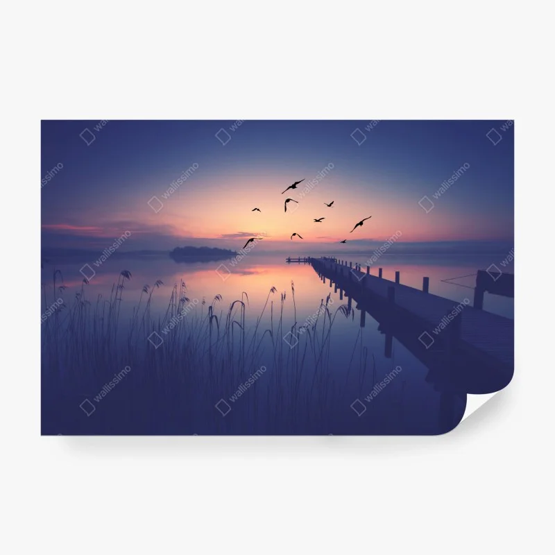 Fototapete ruhiger sonnenaufgang am see mit vögeln – Wallnifity®