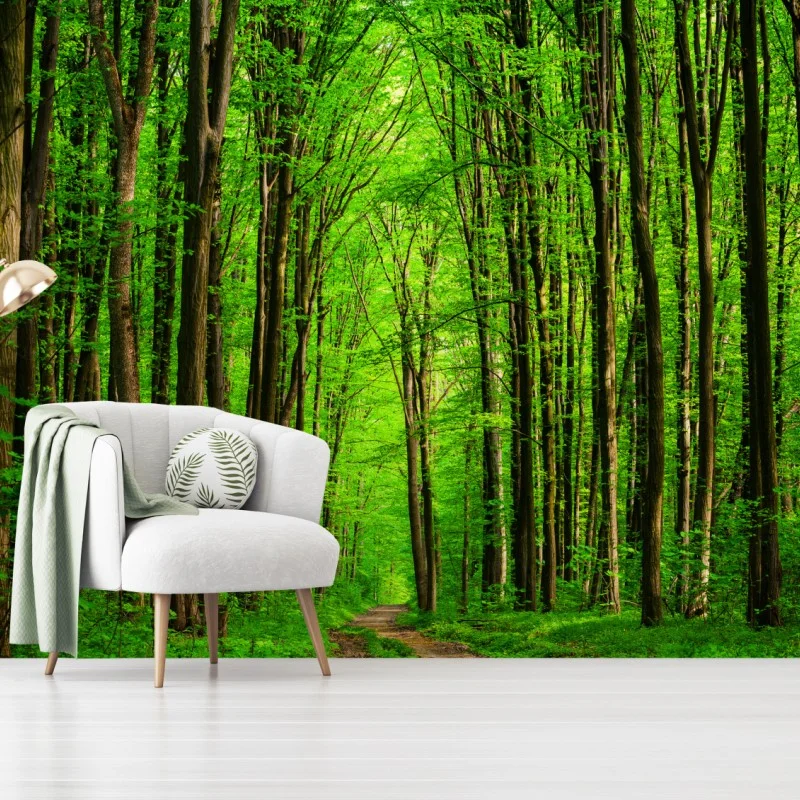 Wälder – Wallnifity®