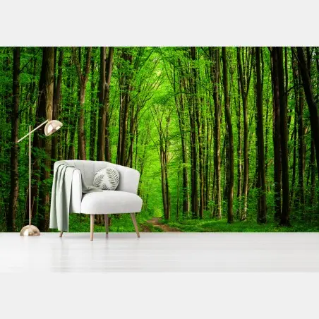 Fototapete üppiger grüner waldweg – Wallnifity®