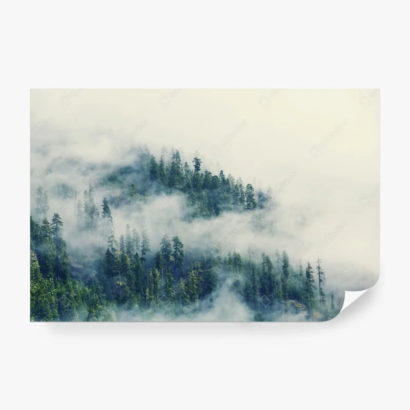 Wälder – Wallnifity®