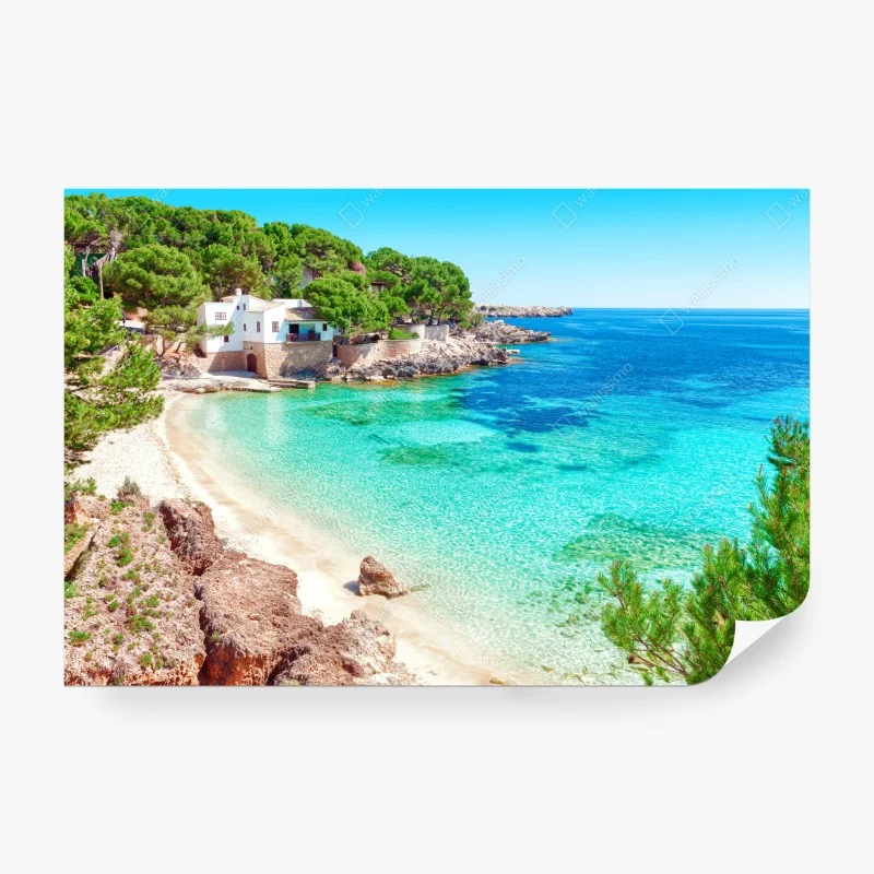 Strand – Wallnifity®