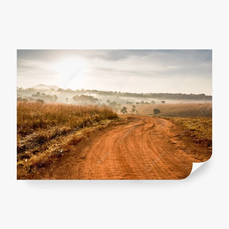 Wiesen – Wallnifity®