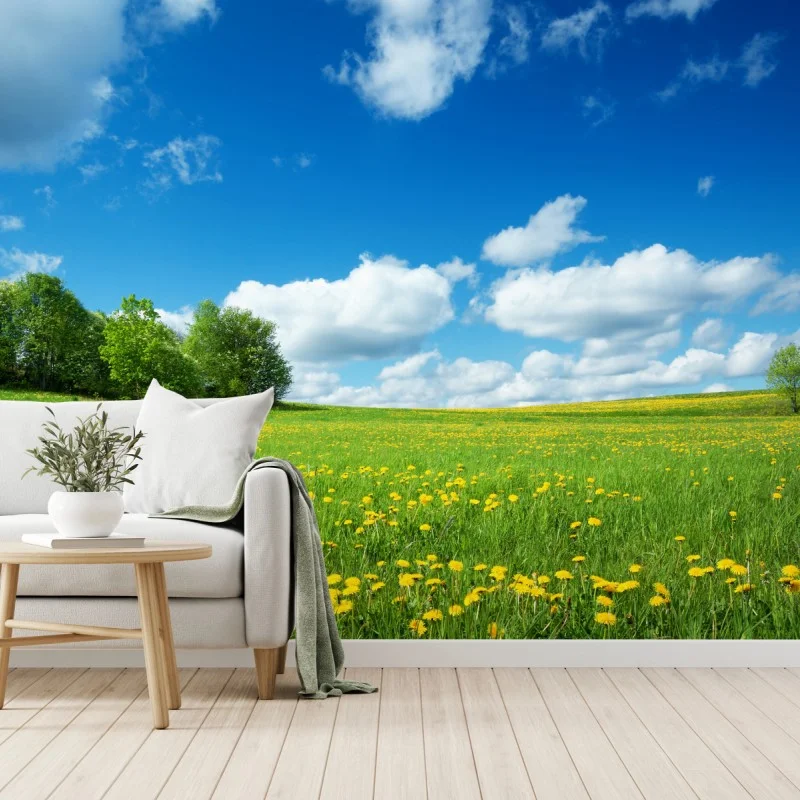 Wiesen – Wallnifity®