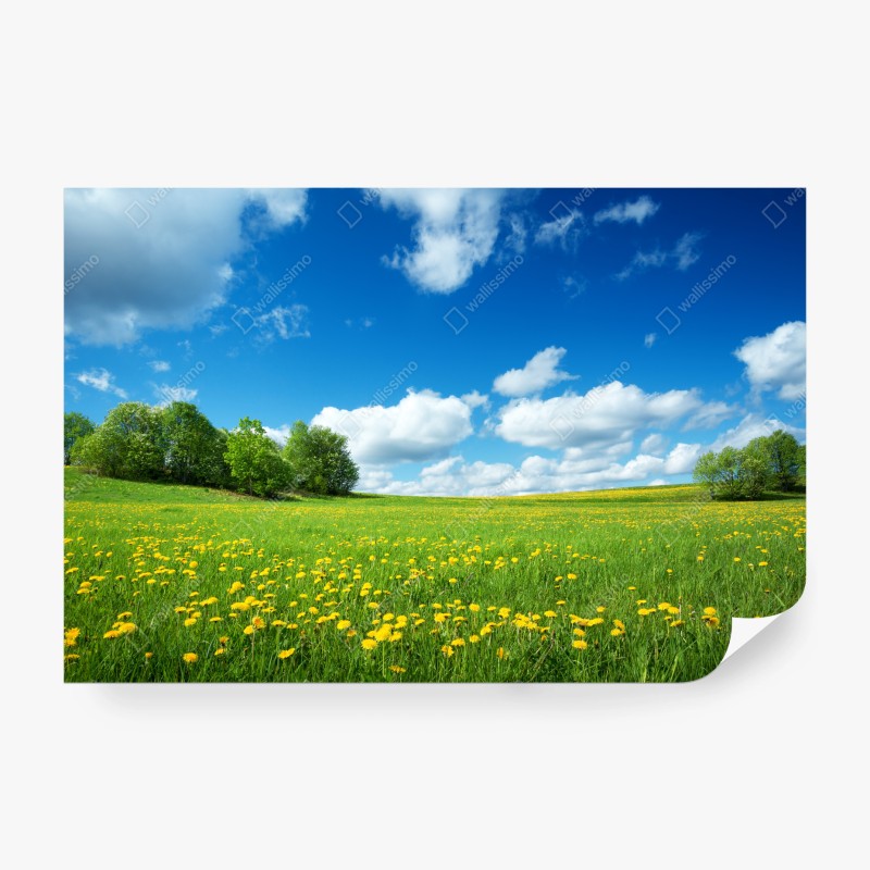 Natur – Wallnifity®