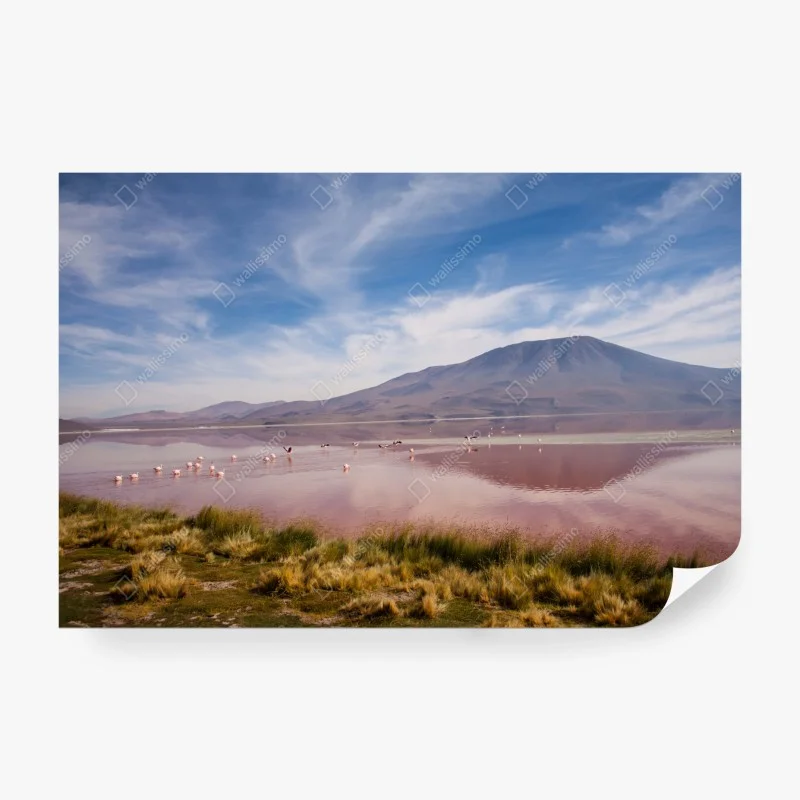 Flüsse & Seen – Wallnifity®