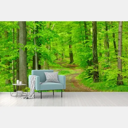 Fototapete ruhiger waldweg im frühling – Wallnifity®