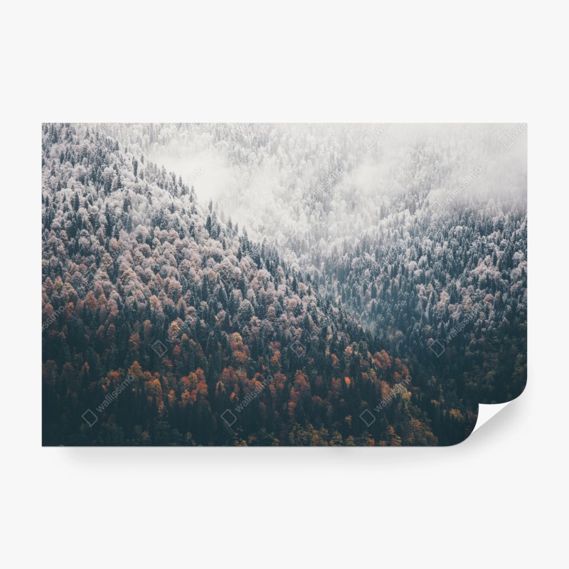 Natur – Wallnifity®