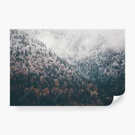 Fototapete nebliger herbstwald am schneebedeckten berg – Wallnifity®
