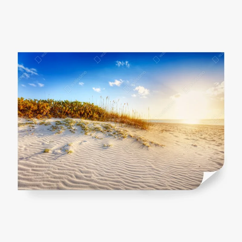 Strand – Wallnifity®