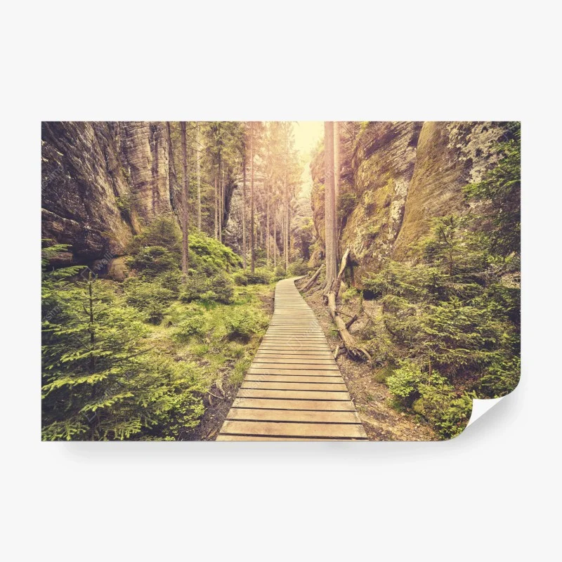 Fototapete – Wallnifity®